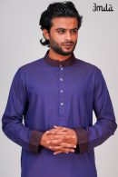 Platinum Panjabi