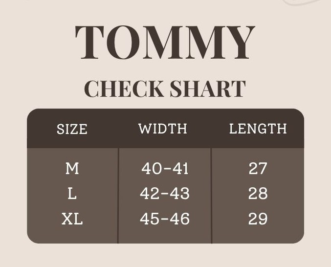 Tommy Hilfiger Formal Full Sleeve Check Shirt
